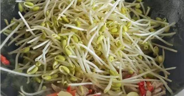 豆芽和它是绝配,做法简单,好吃不贵,3天不吃馋得慌!