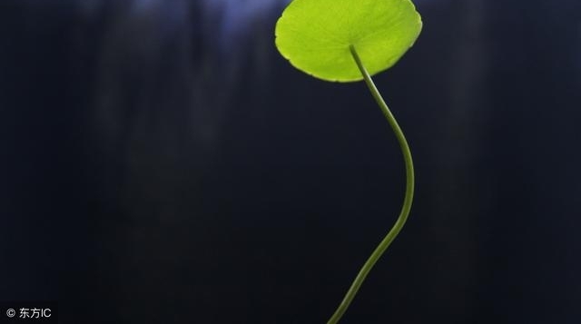 Ϊʲô����˶����߱������·���ż��ͣ�����̫��н��