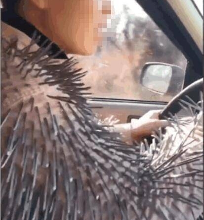 ���ӿ�Ŀ������4��,Ϊ��ͨ�����ԣ�����İ취��Ȼ���⣡
