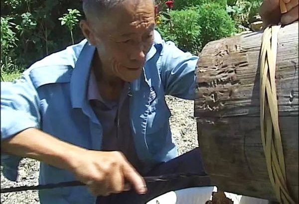 这里有群临安最“甜”的人!爱心人士买蜂蜜,助七旬老人救老伴!