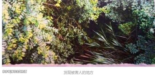 黑车司机劫杀孕妇抛尸,死者家属获赔38万后却请求轻判!