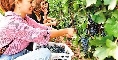 �ο������ժ��