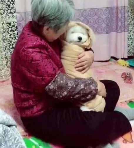 给奶奶买了只狗狗解闷 2个月后剧情大逆转 狗狗成了亲孙子