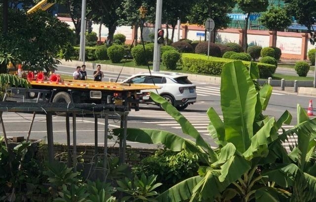 ʵ�����01������MPV���� ����������ڹ�ͣ����й�ĵ���