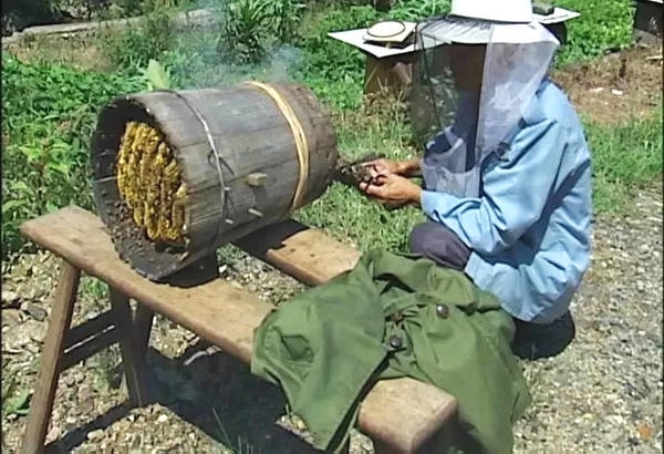 这里有群临安最“甜”的人!爱心人士买蜂蜜,助七旬老人救老伴!