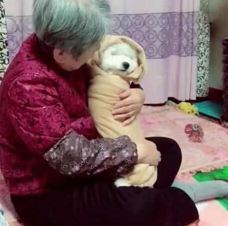 给奶奶买了只狗狗解闷 2个月后剧情大逆转 狗狗成了亲孙子