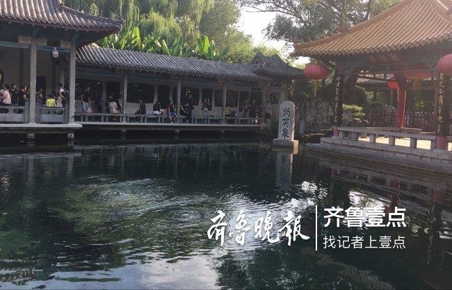 近7年头一回!主汛期后趵突泉水位3次跌至橙线下