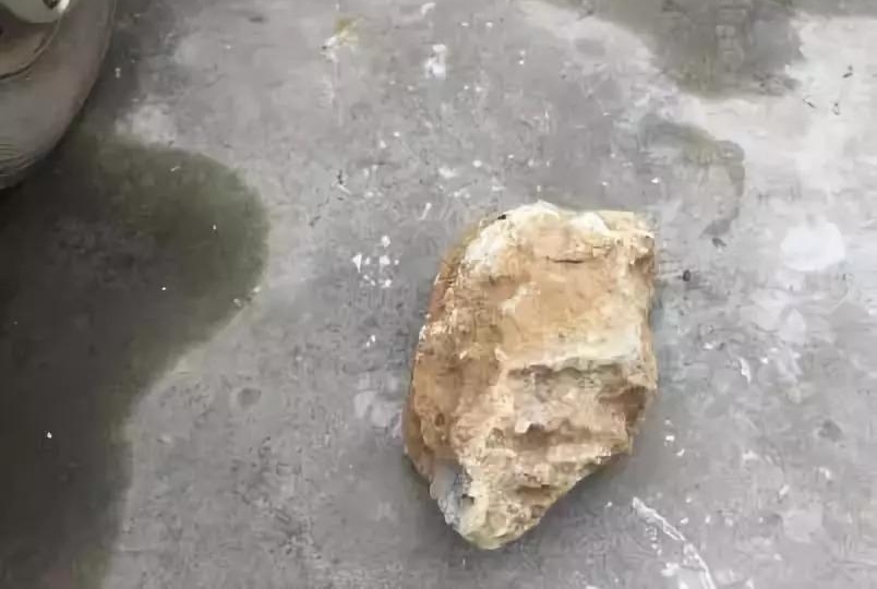 落石砸断4根肋骨,司机强忍剧痛继续开了十多分钟救下一车乘客!