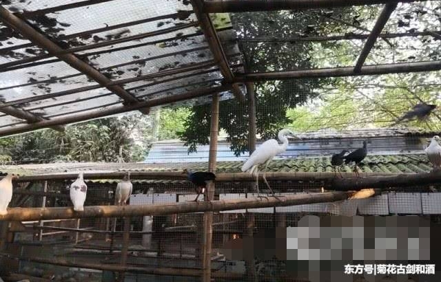 �����ػع�ʱũ����������������ϰ��ֶ��������¿ȥ��ѧ��