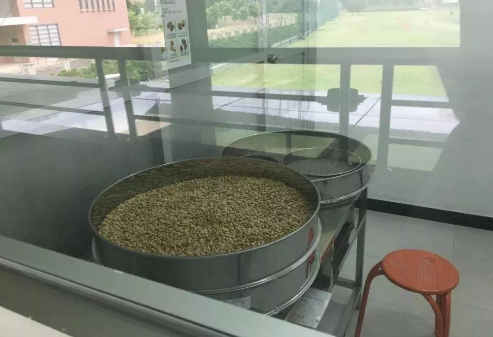 【大学生活动】体验咖啡的甜涩味道,感悟青春的美好时光!