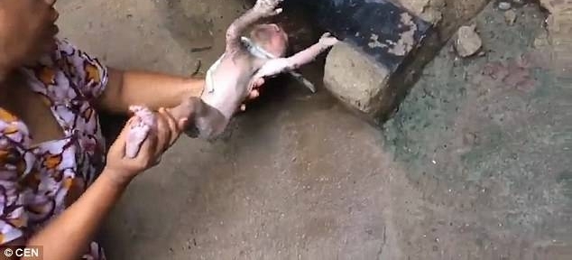 下水道传出微弱“猫叫声”,女子扯出一看惊呆:竟是个新生儿
