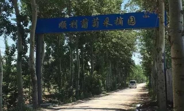 ��˵���Ǵ󳧵��������ˣ��ߣ���ժȥ��