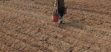 2019年永久退出土地,符合这三个条件,一亩可补偿10万?