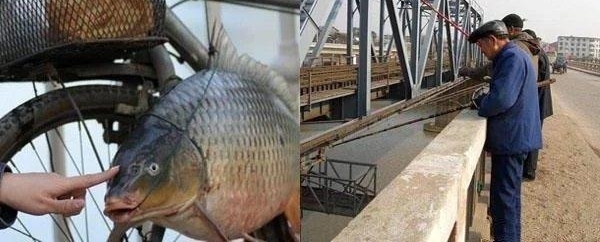 民间钓鱼人的“流氓式钓鱼”,不用钓饵的,每天照样获鱼几十斤