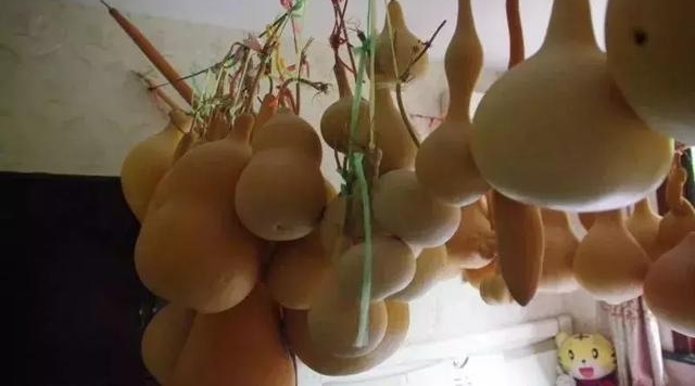 ���������������Ļ��Ų���«�ӻ����ڷ���������ǧ����