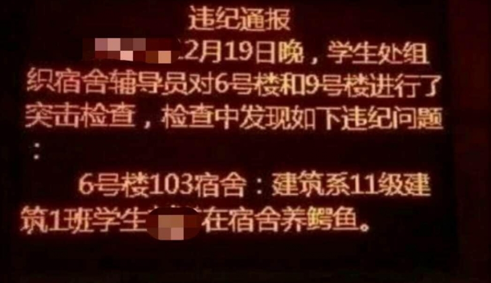 �簲����̨��08��20�գ�������̨���Լ����������