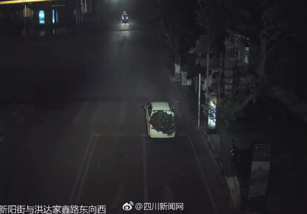 当心!遂宁街头深夜有采花贼出没,看到喜欢的就下手!