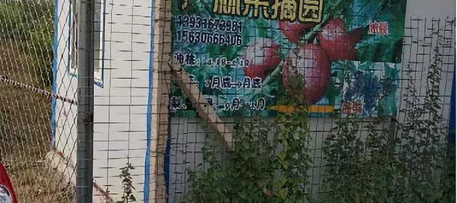 ��˵���Ǵ󳧵��������ˣ��ߣ���ժȥ��