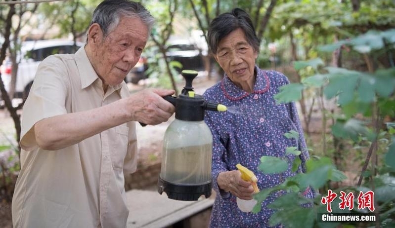 夫妻抗战结伉俪已75年:希望能有张结婚证