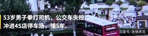 公交车司机好言提示,却遭中年男子拳打,公交车冲向凯迪拉克4S店