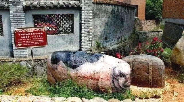 因为这些石头太逼真了,很多人都把它们看错了!