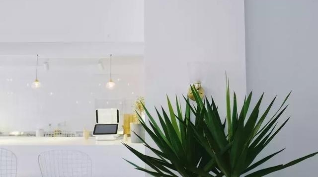 南宁这11家自带冷气的“网白”店,是拯救夏日的极简天堂!