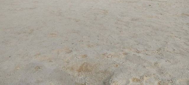 ���������и���ѵĹ���ʪ�ع�԰������������ο���Ľ����