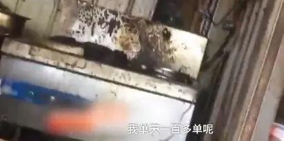 ���żӵ��� | �Ϻ�������ѧ��¼ȡ����һֻ�졭��