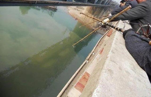 民间钓鱼人的“流氓式钓鱼”,不用钓饵的,每天照样获鱼几十斤