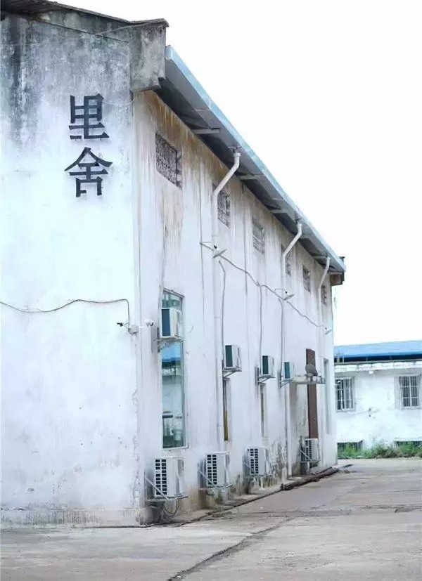 南宁这11家自带冷气的“网白”店,是拯救夏日的极简天堂!