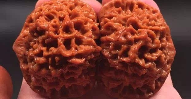 ����������ǰ����֪ ��Ϊ��Ʒ���ң�����ʨ��ͷ��