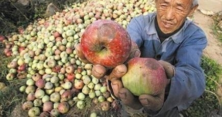 爷爷卖苹果,一天都卖不出去一个,孙女的一个举动,却一抢而空?