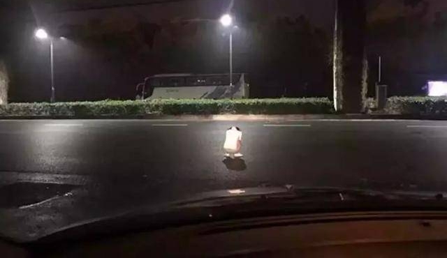 翻看朋友圈的这些偷拍照,我竟再次泪如雨下