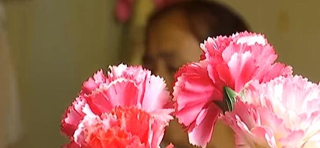 只因让群主踢人出了群 妇女遭低俗照片恶搞报复