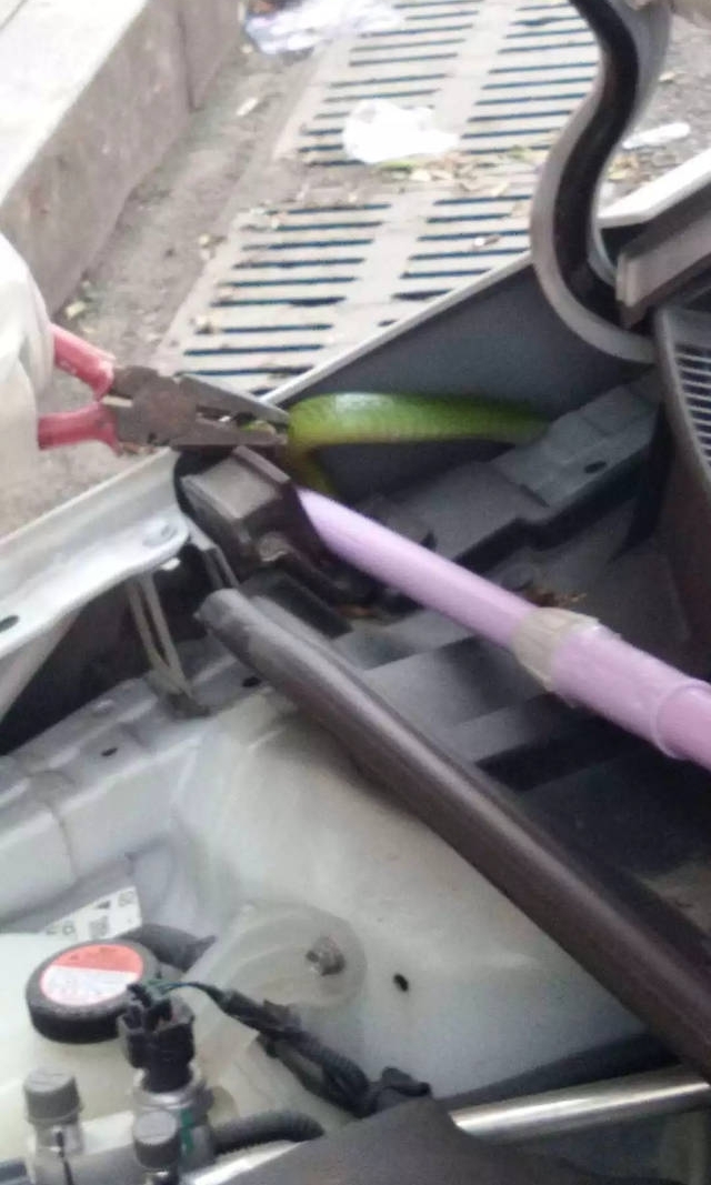 ���һ�������������ҳ����ж��ߡ���