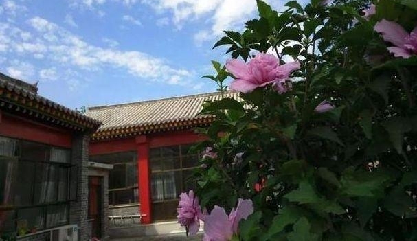 ɹɹ�ҵı��������ĺ�Ժ����ѩ�񡰹ʹ�������ϲ��ר��������԰��