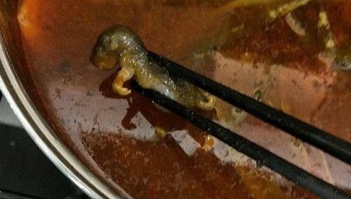 ����Գ��������������߸û���������⸶