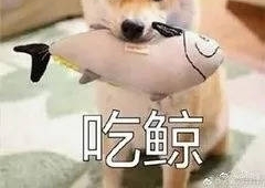 Ů���������㳡��������İ�����տ��������Ӻ����ˣ����������¸���û�뵽��