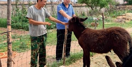 ���ɹţ���������Ⱥ��ס�塱�ɲ�