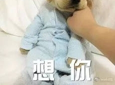 Ů���������㳡��������İ�����տ��������Ӻ����ˣ����������¸���û�뵽��