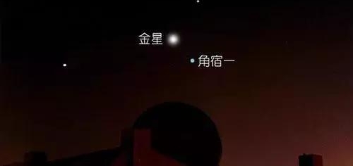 �����ż�����ƽ��ɽһ����11��ע���Ȯ���� ����ͬһ����ҧ�ˡ���