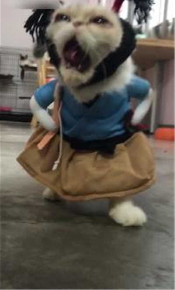 ˫�ֲ���ͷ�������ڣ�＂��ʿ��＂�������Ц������