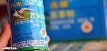 ���ӱ��ٷ˹�ٲݿ�25���������û�뵽����±���ȴ��������