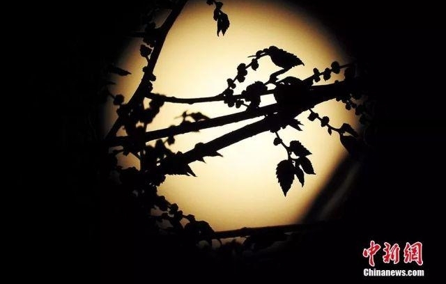 ������Բ���������ķ羰���ɶ��ܱ�����ȥ�������ĳ���������