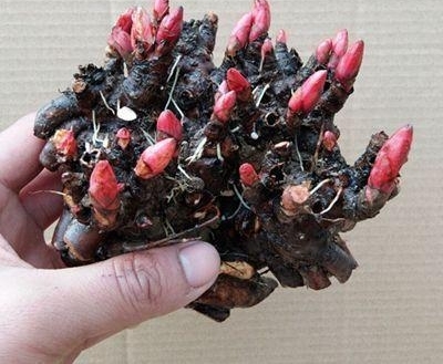 �й�����6�������������ܻ���������ĵ�����㣡�������ÿ�