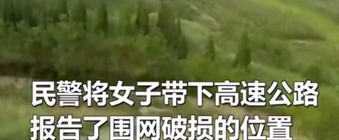 ���边�ڸ������޹�����������ȴ˵����������