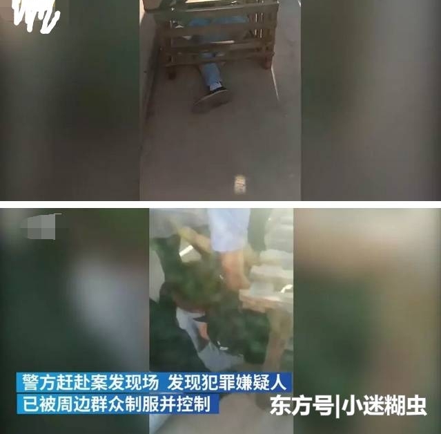 ���磡ĸ�����ͽ�ֵ����٣�����ͽ����ֹȴ���˺���