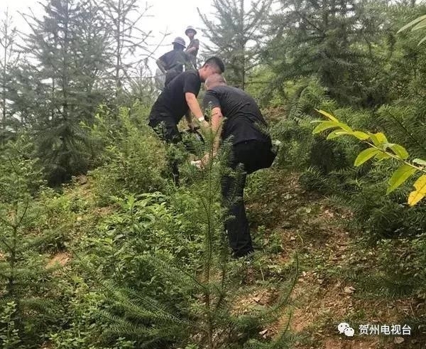 ����48Сʱ���ף����������´�����˺�������