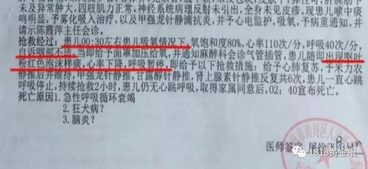 6岁男童被狗咬13天后去世 离打第四针狂犬疫苗差两天