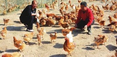 �°��꣬ũ�忪������ģʽ��ר�Ҿ�˫���޳ɣ�ũ��Ļ�ȴ��������